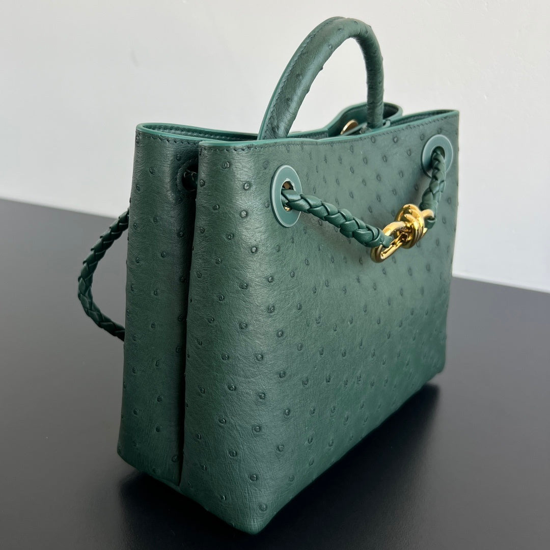 Bottega Veneta Andiamo Handbag (Ostrich Leather)
