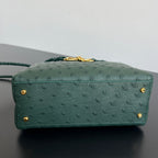 Bottega Veneta Andiamo Handbag (Ostrich Leather)