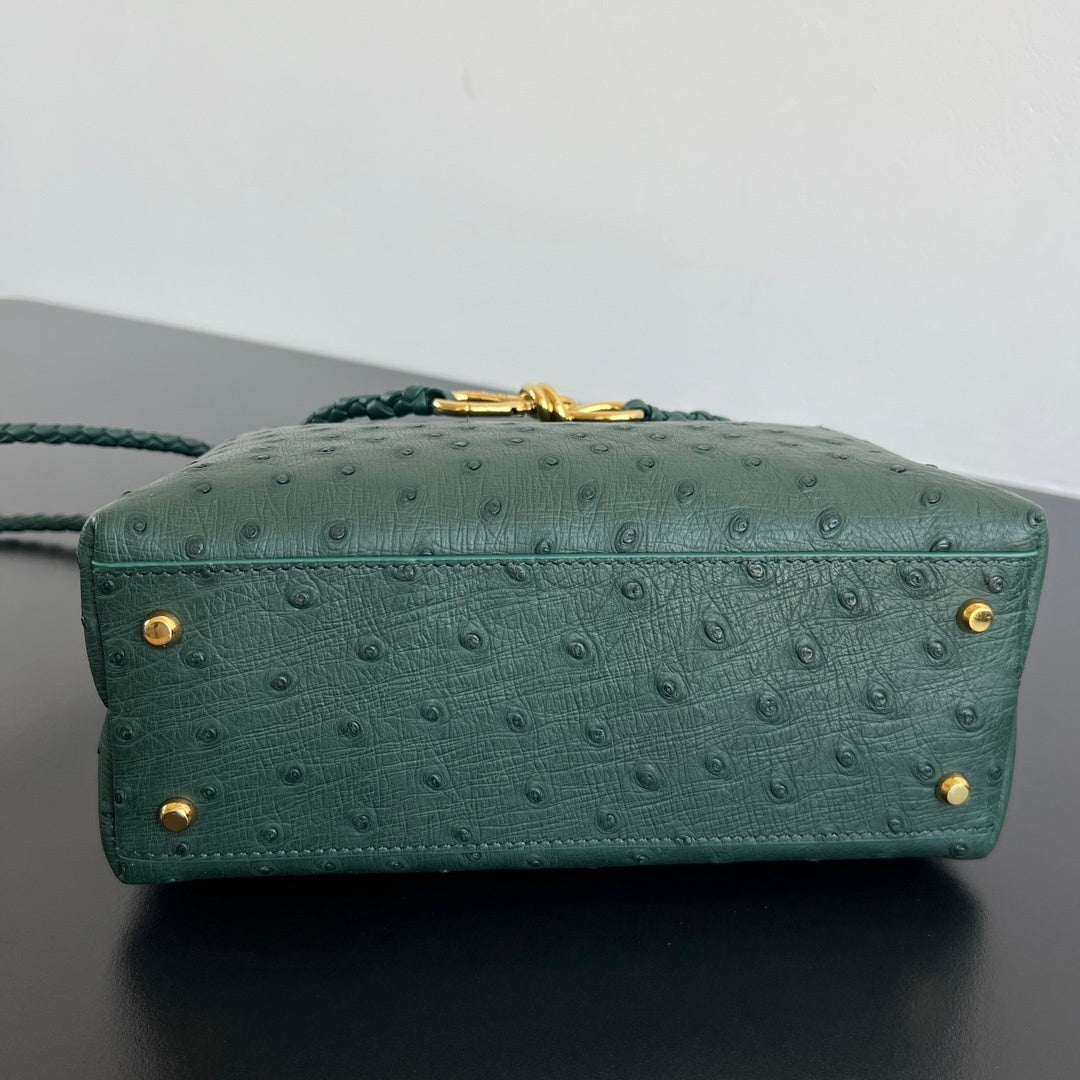 Bottega Veneta Andiamo Handbag (Ostrich Leather)