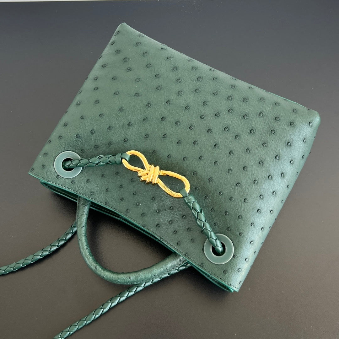 Bottega Veneta Andiamo Handbag (Ostrich Leather)