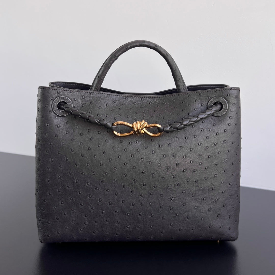 Bottega Veneta Andiamo Handbag (Ostrich Leather)