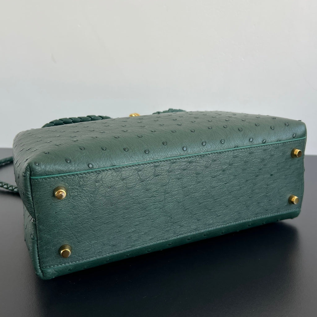 Bottega Veneta Andiamo Handbag (Ostrich Leather)
