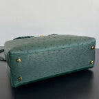 Bottega Veneta Andiamo Handbag (Ostrich Leather)