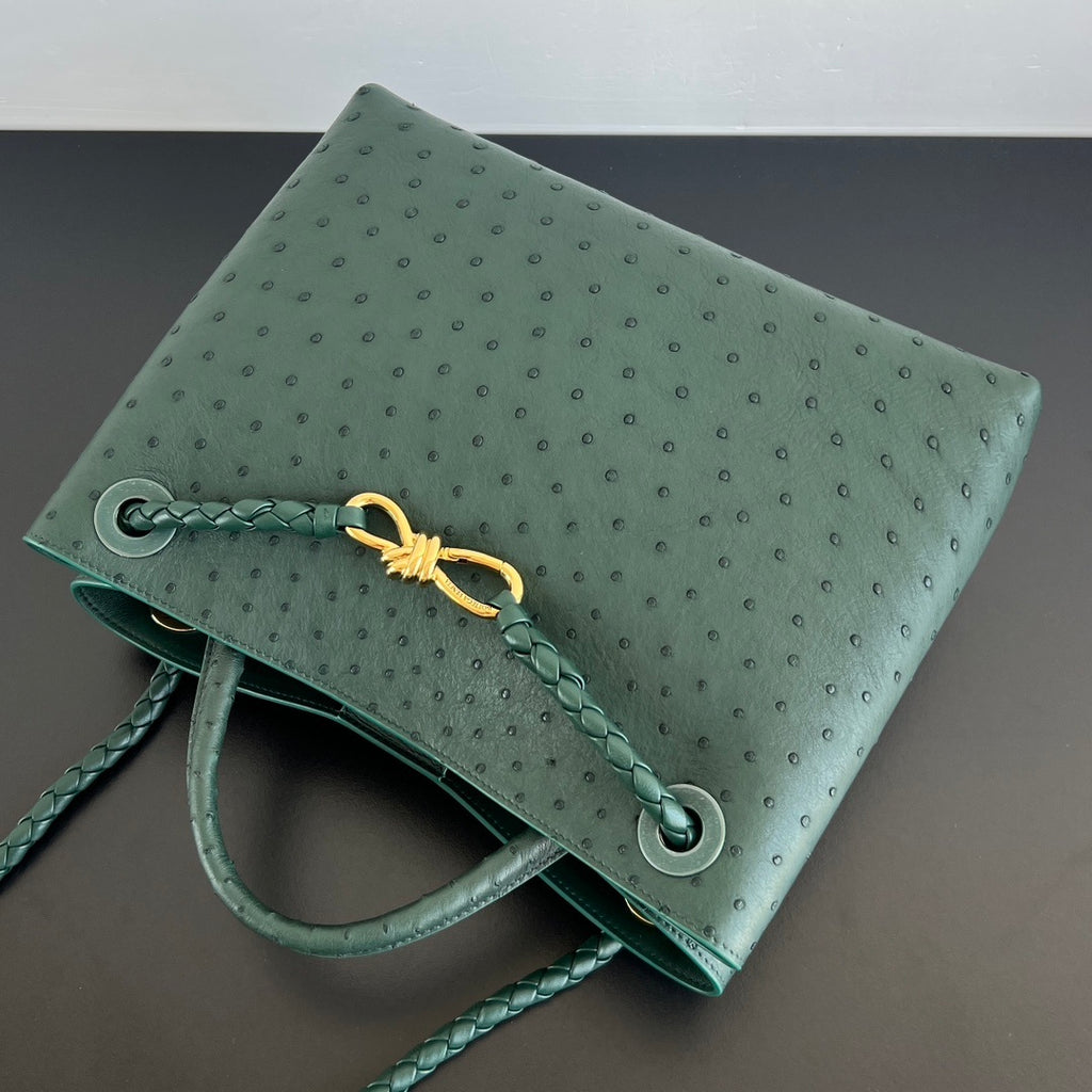 Bottega Veneta Andiamo Handbag (Ostrich Leather)