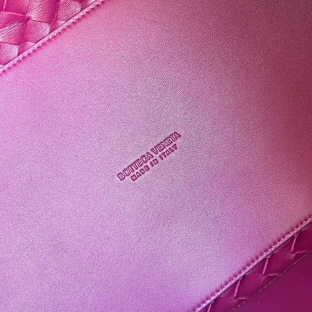 Bottega Veneta Andiamo Suede Bag