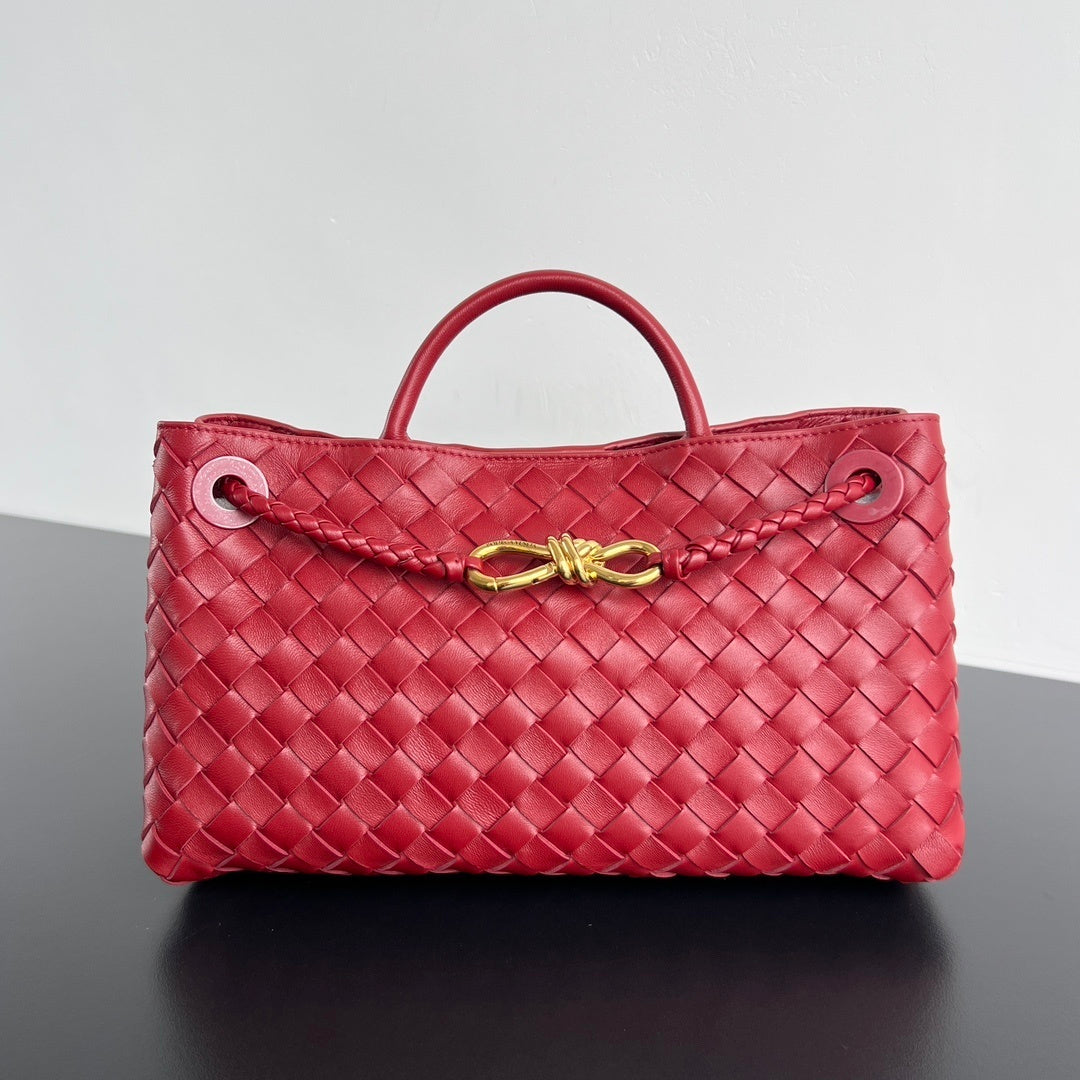 Bottega Veneta Andiamo Handbag