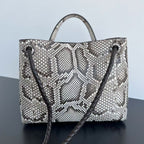 Bottega Veneta Andiamo Snake Leather Bag