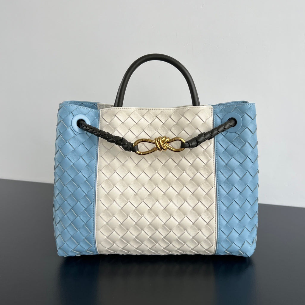 Bottega Veneta Andiamo Handbag