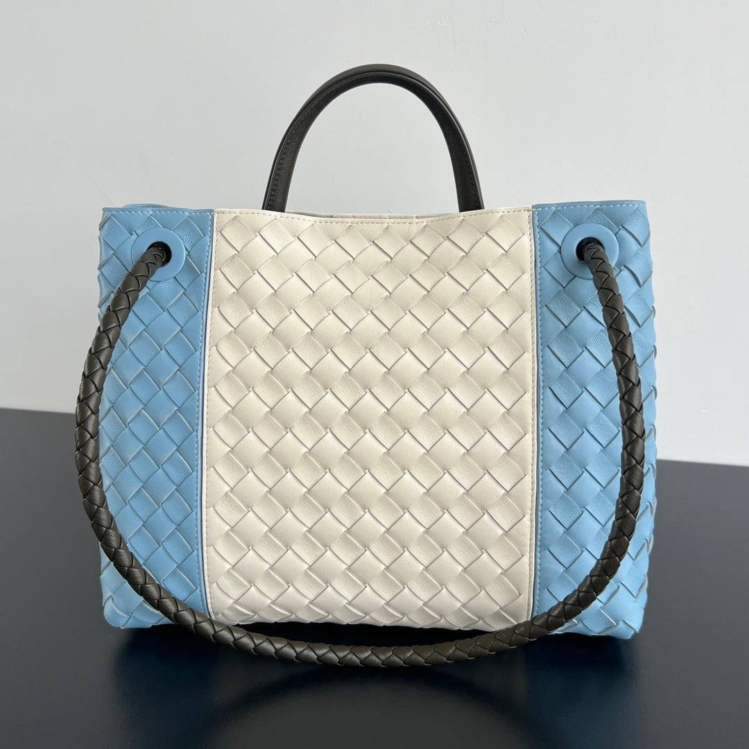 Bottega Veneta Andiamo Handbag