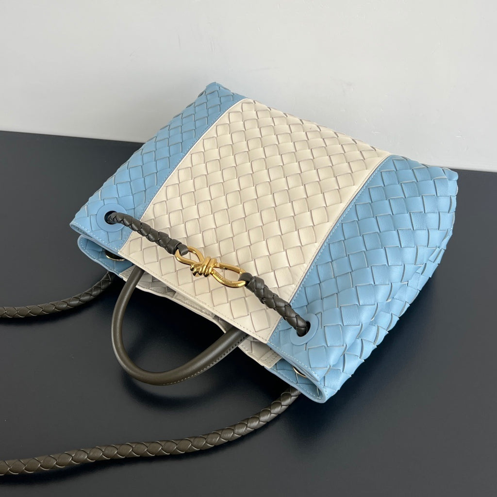 Bottega Veneta Andiamo Handbag
