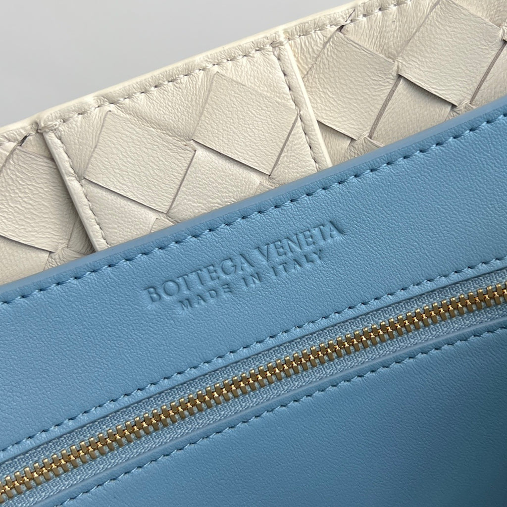 Bottega Veneta Andiamo Handbag