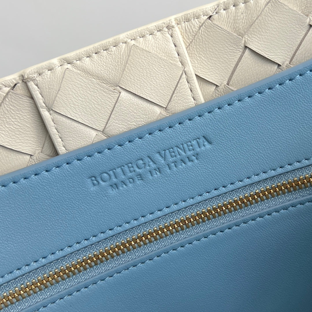 Bottega Veneta Andiamo Handbag