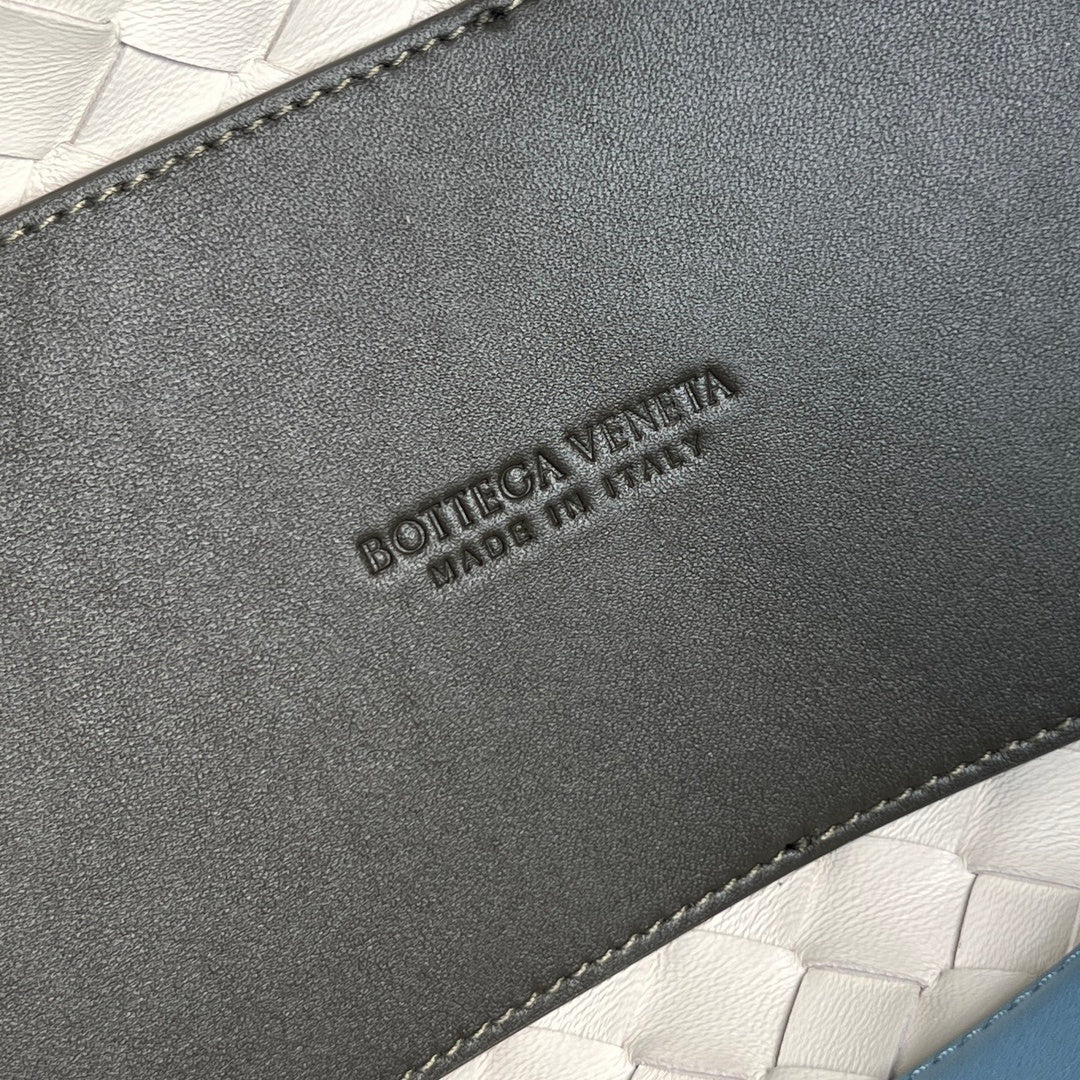 Bottega Veneta Andiamo Handbag