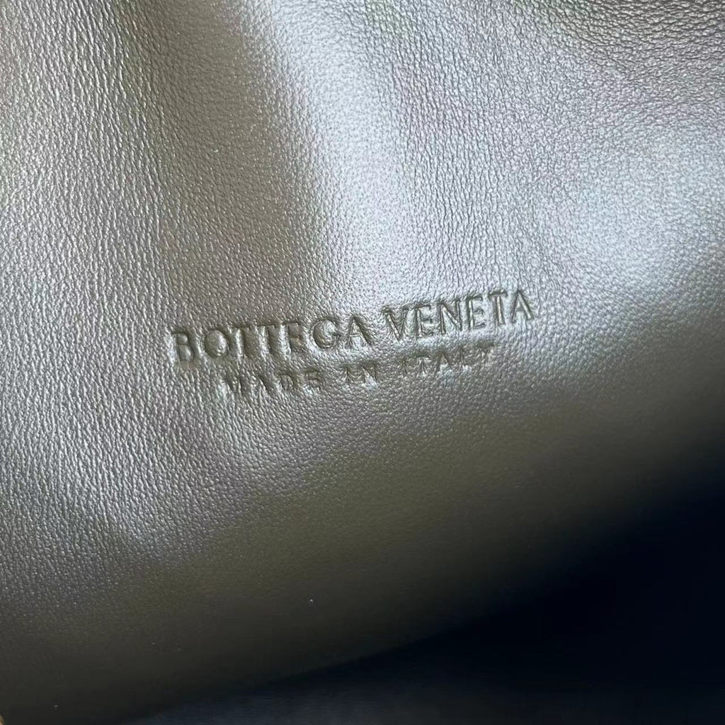 Bottega Veneta Loop Camera Bag
