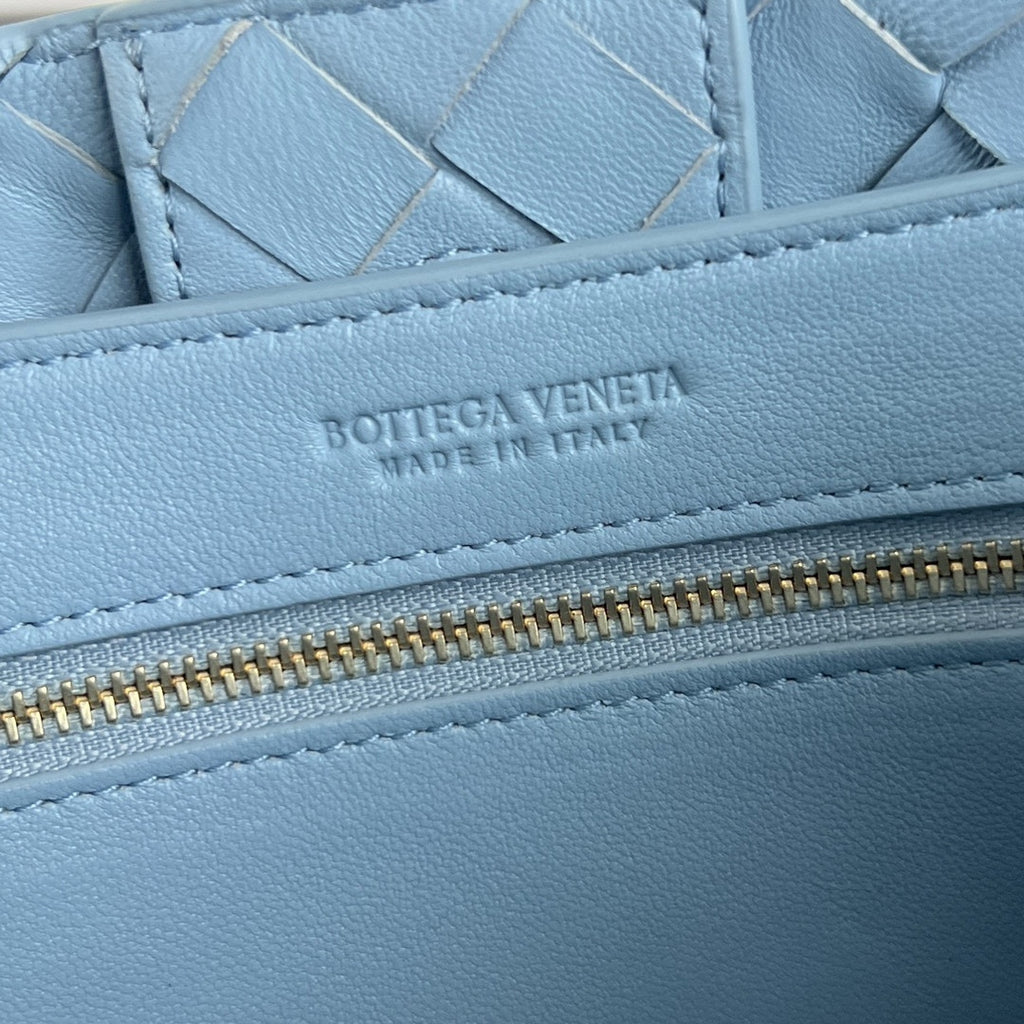 Bottega Veneta Andiamo Handbag