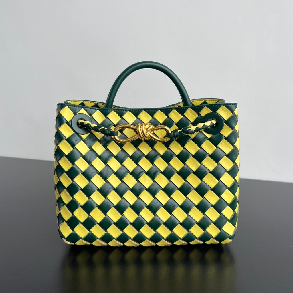 Bottega Veneta Andiamo Handbag