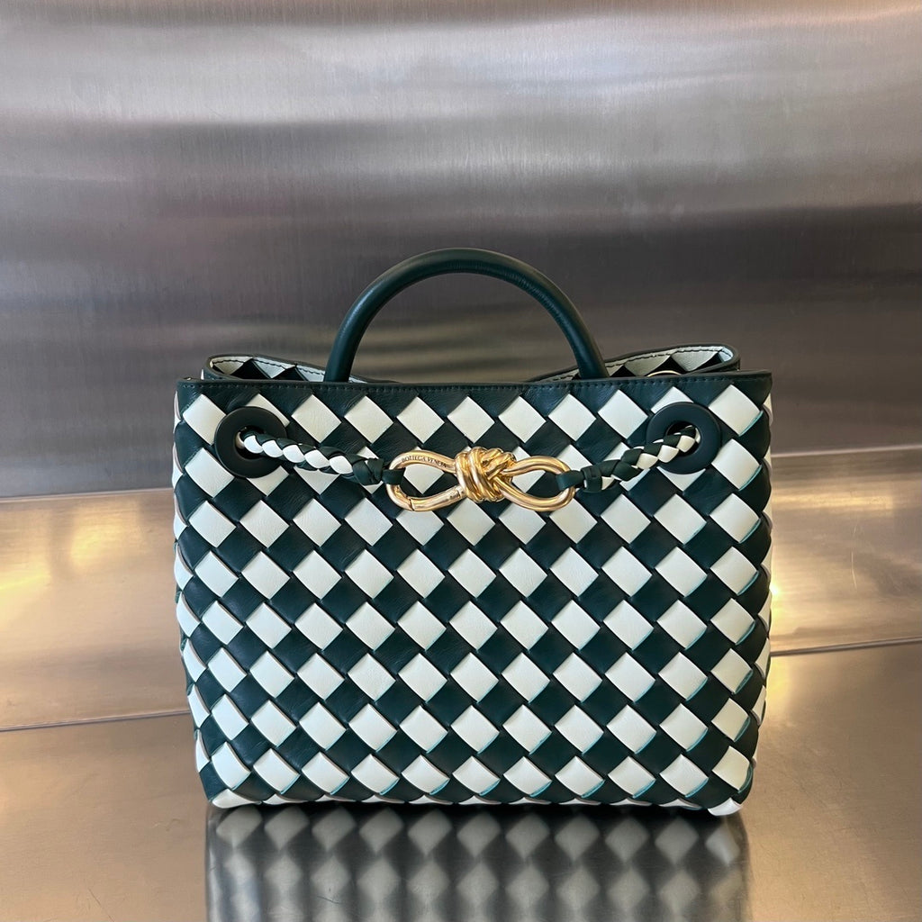 Bottega Veneta Andiamo Handbag