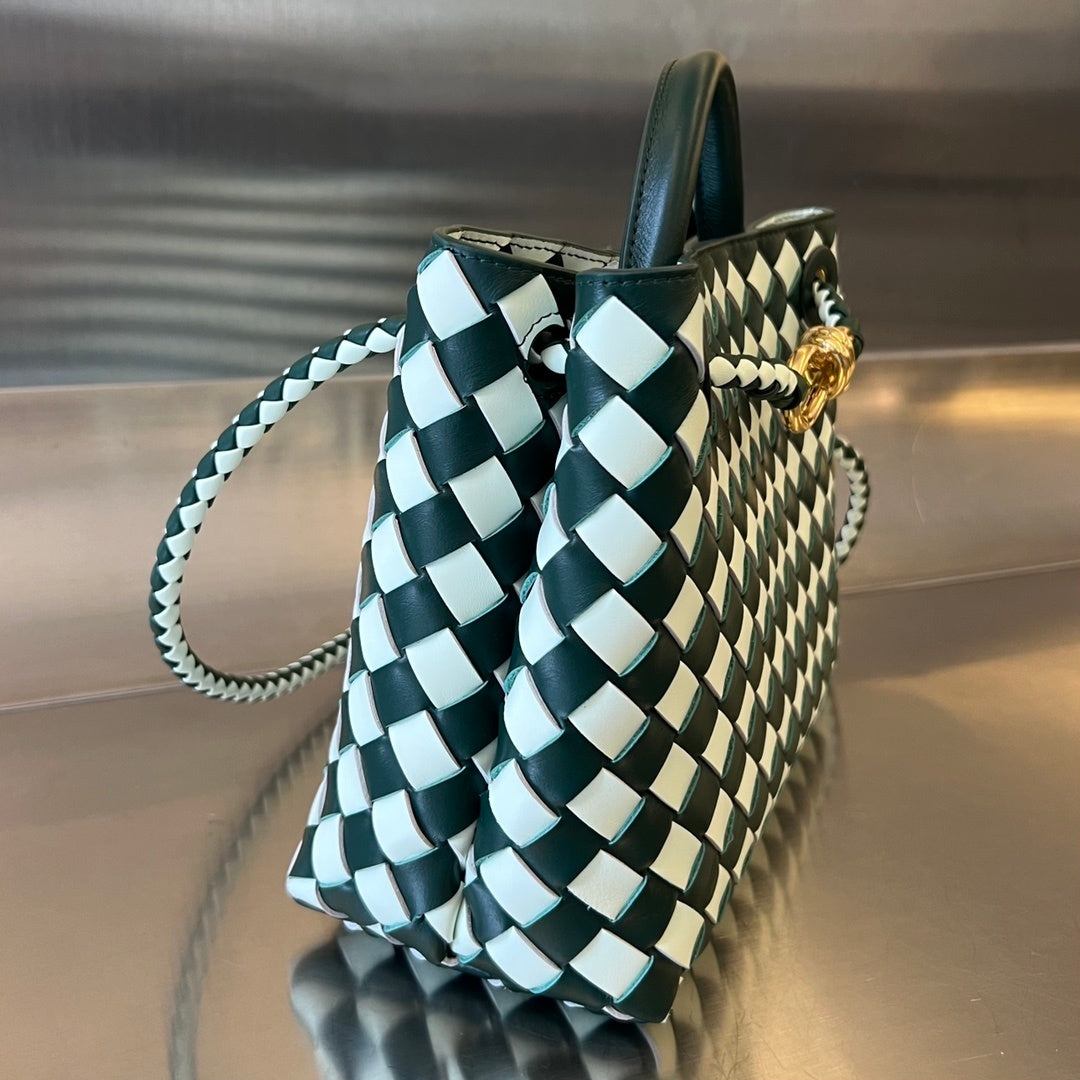 Bottega Veneta Andiamo Handbag