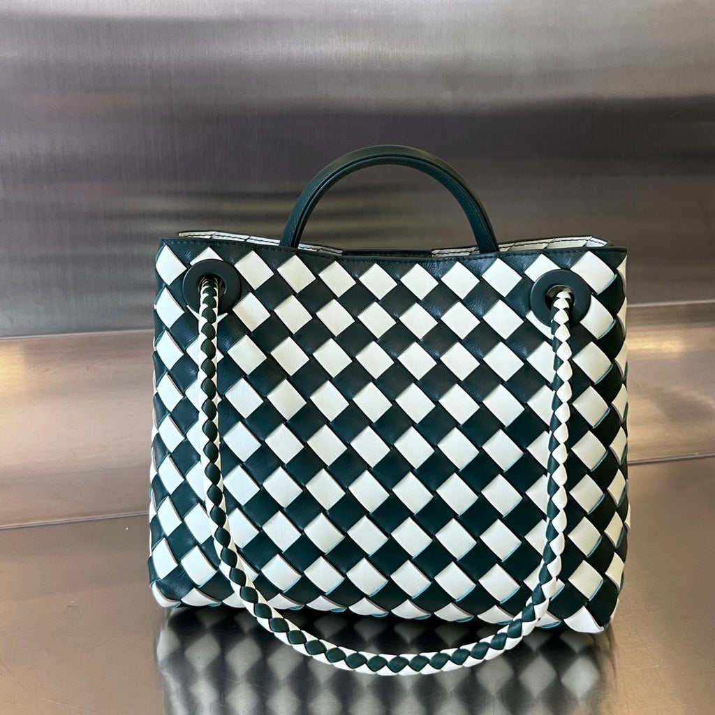 Bottega Veneta Andiamo Handbag