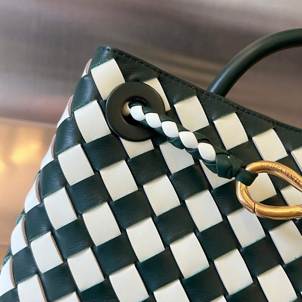 Bottega Veneta Andiamo Handbag