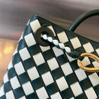 Bottega Veneta Andiamo Handbag