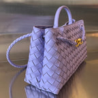 Bottega Veneta Andiamo Handbag