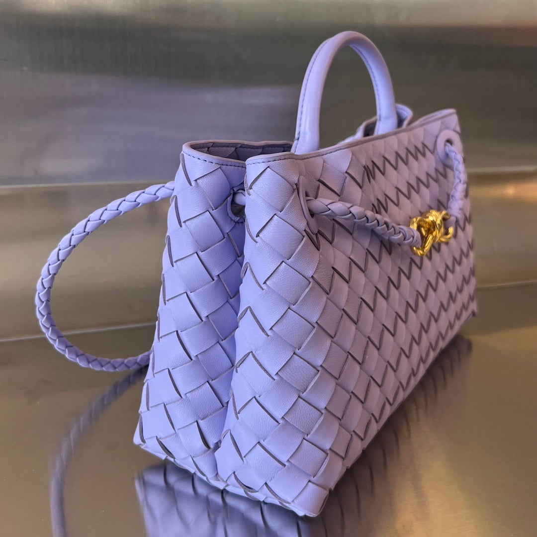 Bottega Veneta Andiamo Handbag