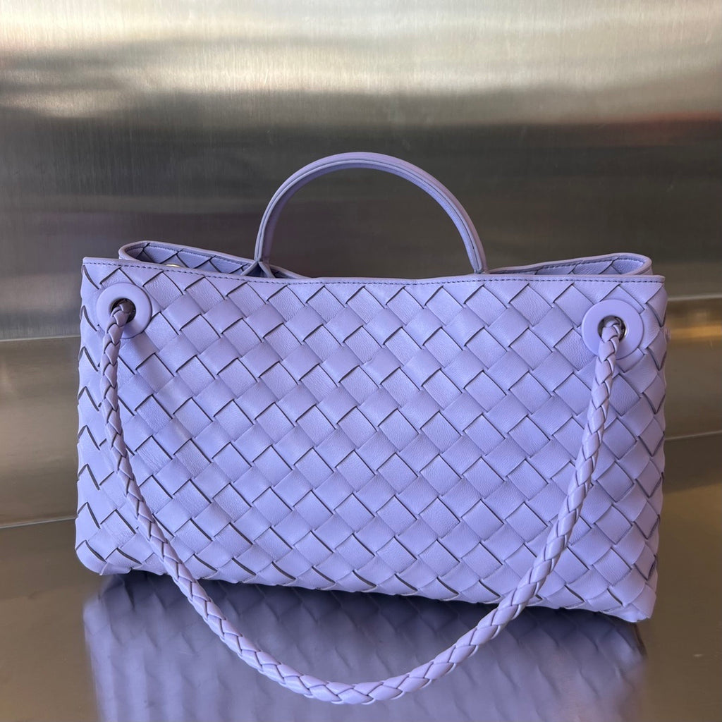 Bottega Veneta Andiamo Handbag