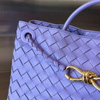 Bottega Veneta Andiamo Handbag