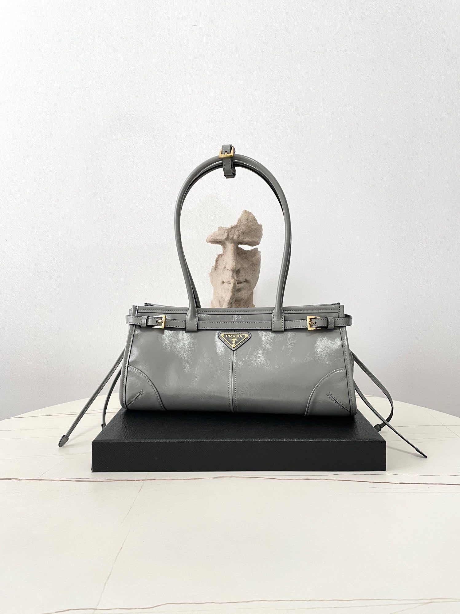 Prada Soft Lux Bag (Medium)