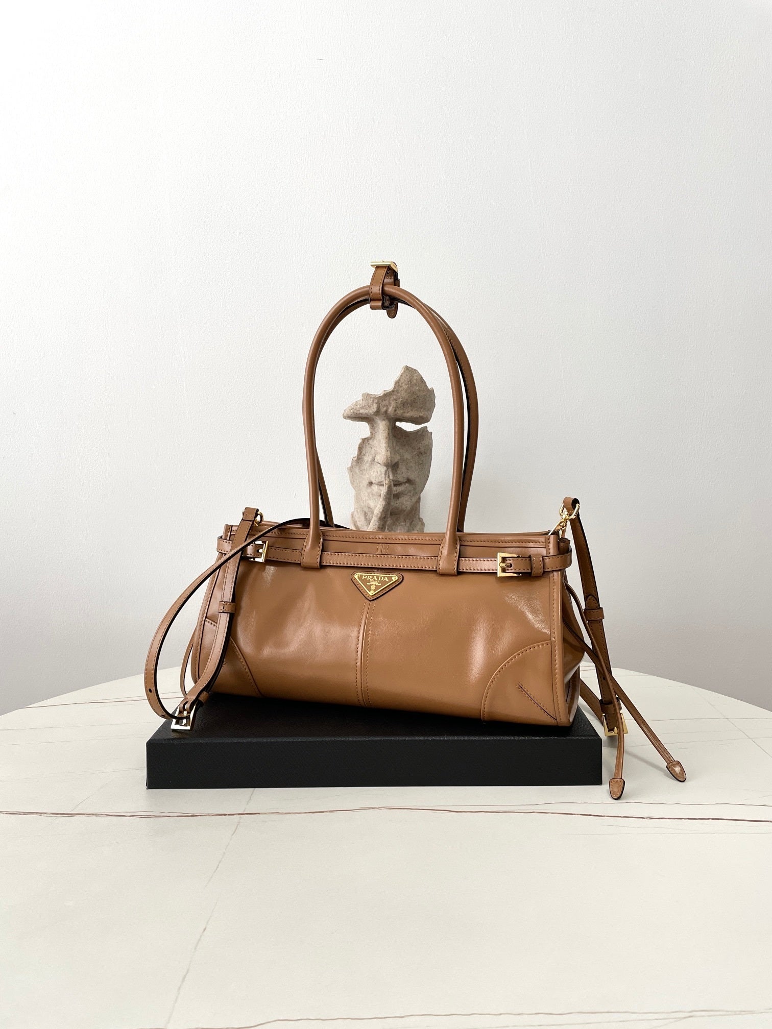 Prada Soft Lux Bag (Medium)