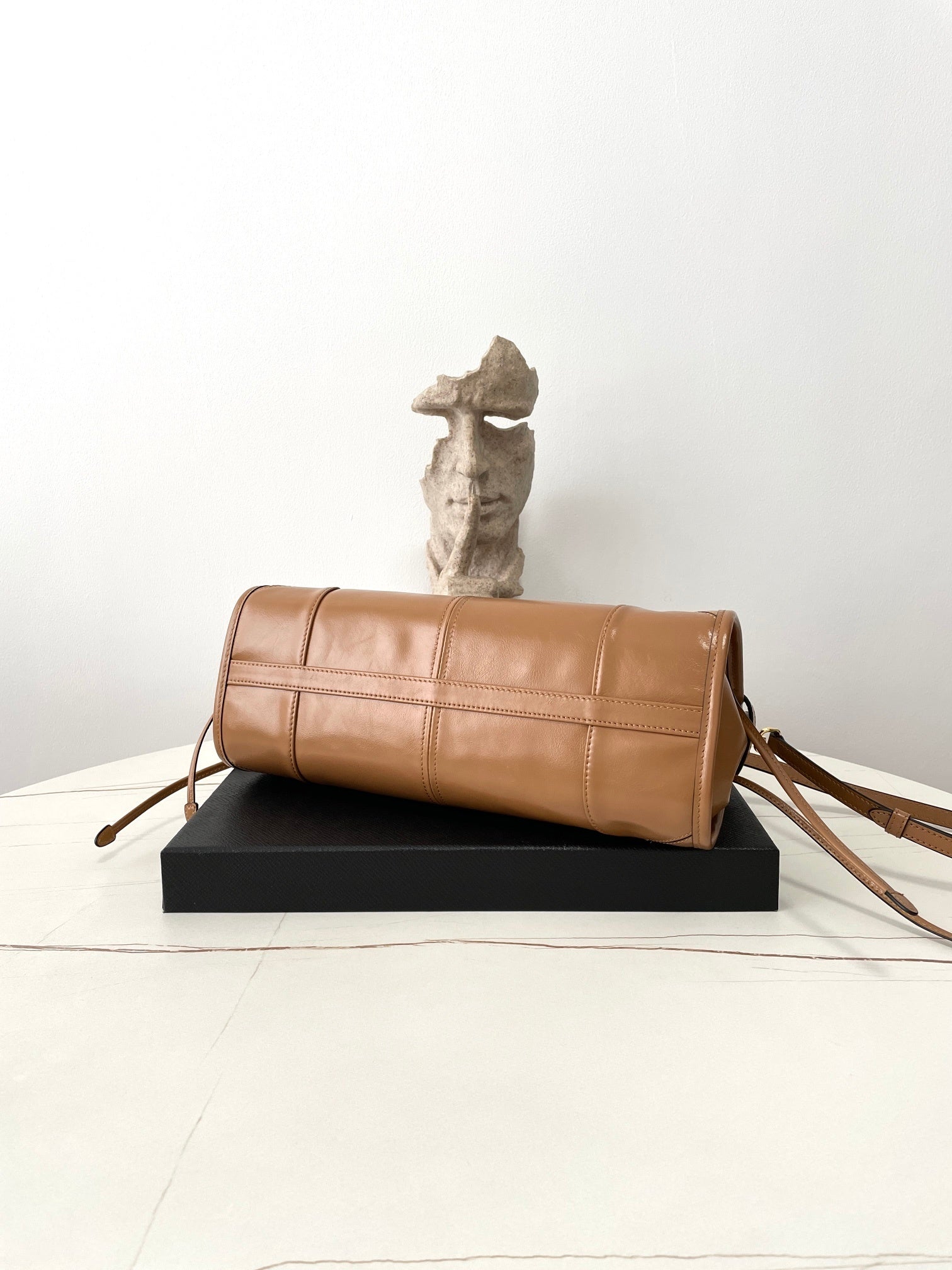 Prada Soft Lux Bag (Medium)