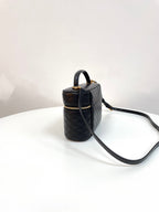 YSL Yves Saint Laurent GABY Large Zip Vanity Bag