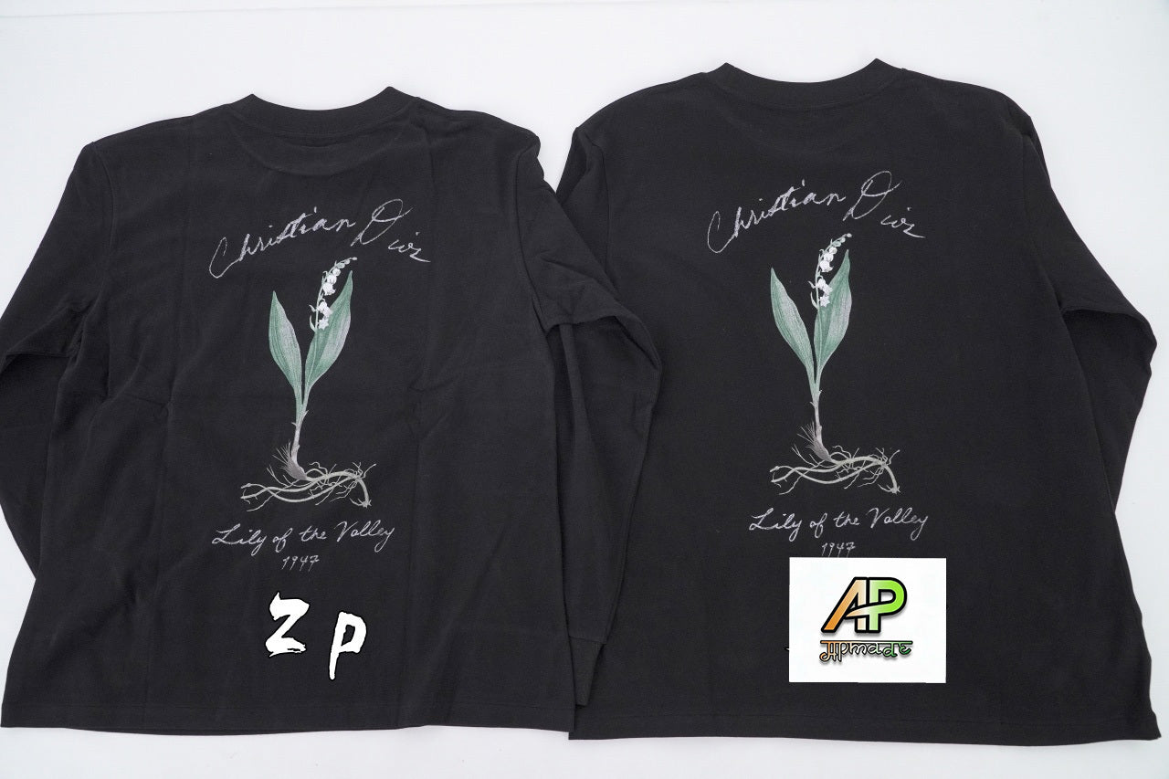 Dior Brushed Graphic Sweatshirt