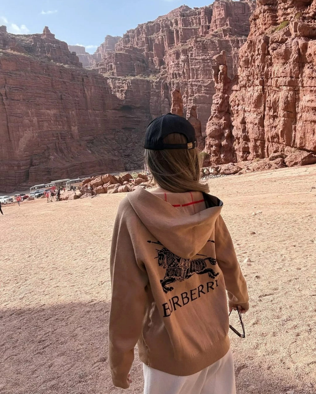 Burberry Reversible Jacket with Warhorse Pattern
