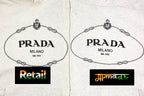 Prada Chest Flower Embroidered Gauze Hoodie