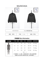Balenciaga eBay Embroidered Hoodie