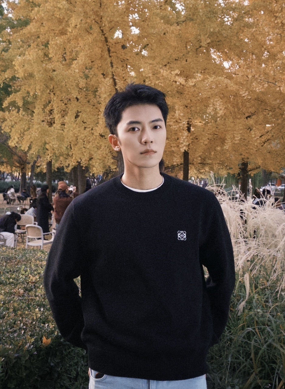 Loewe Embroidered Wool Sweater