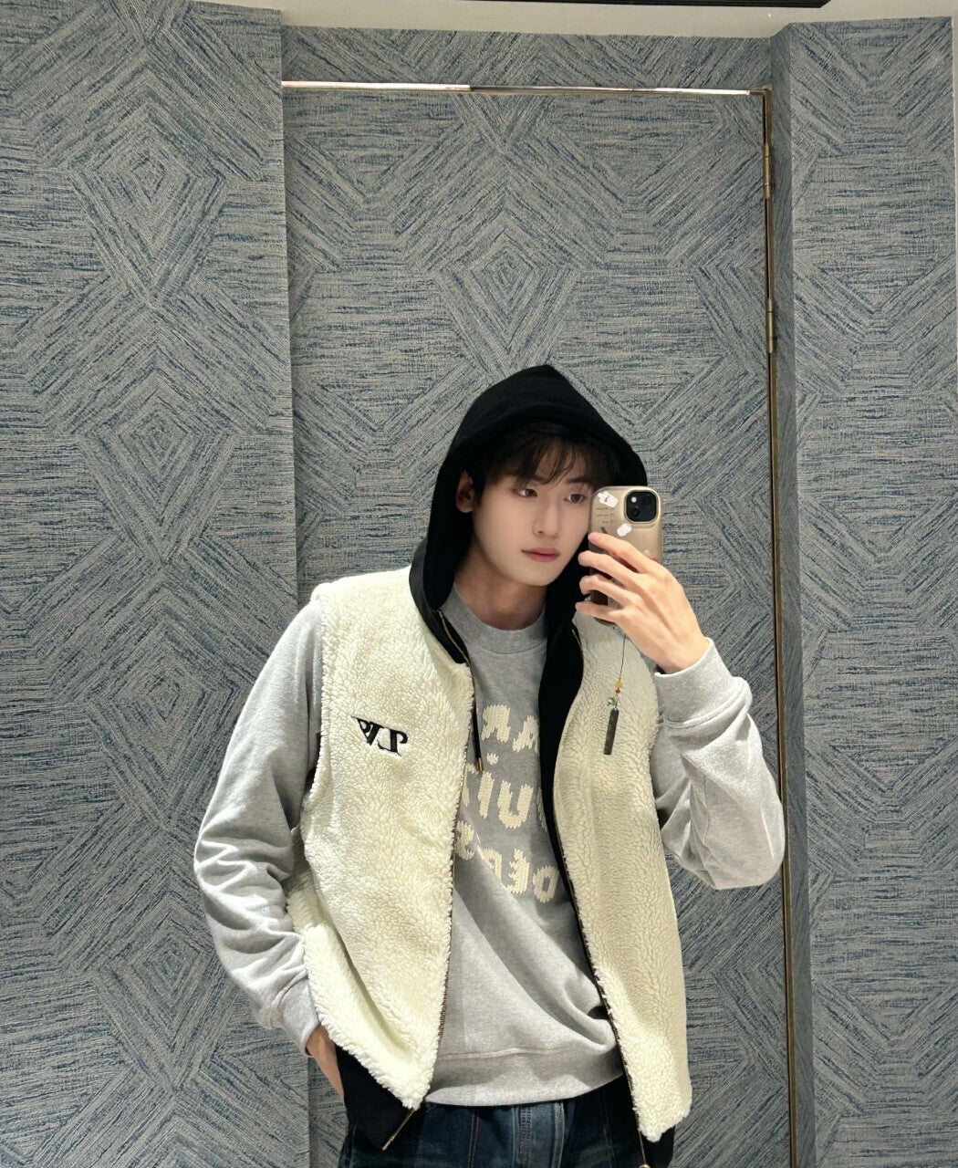 Louis Vuitton Reversible Lamb Wool Hooded Vest