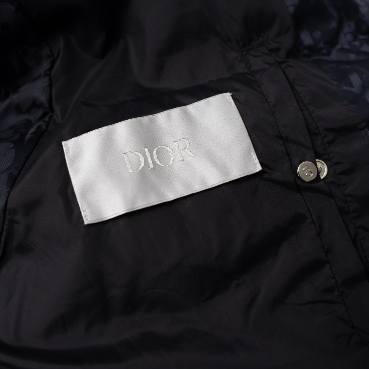 Christian Dior All-over Print Stand-up Collar Down Vest