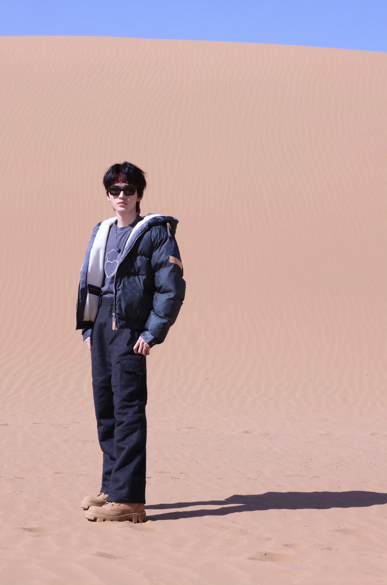 Louis Vuitton Ski Series Full-print Cotton Jacket