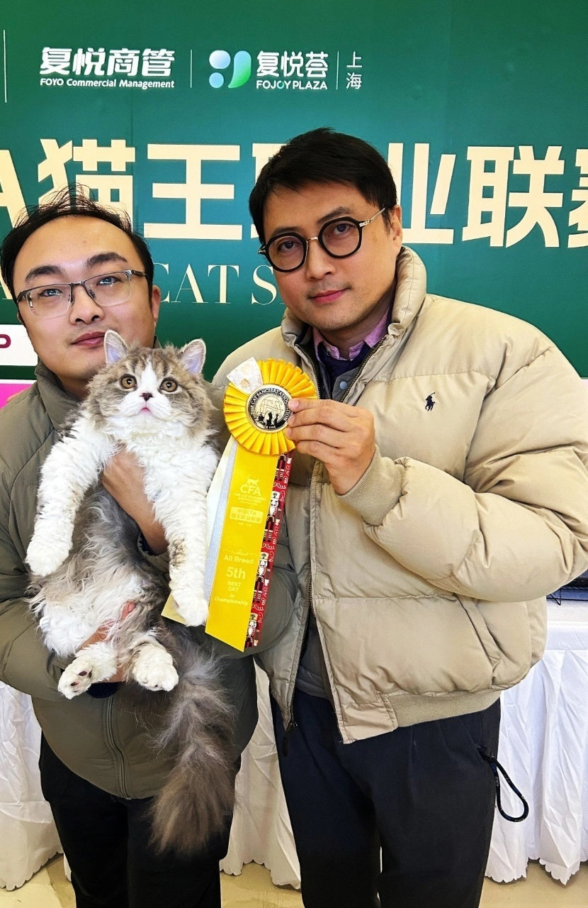 Ralph Lauren RL Used Pony Logo Down Jacket