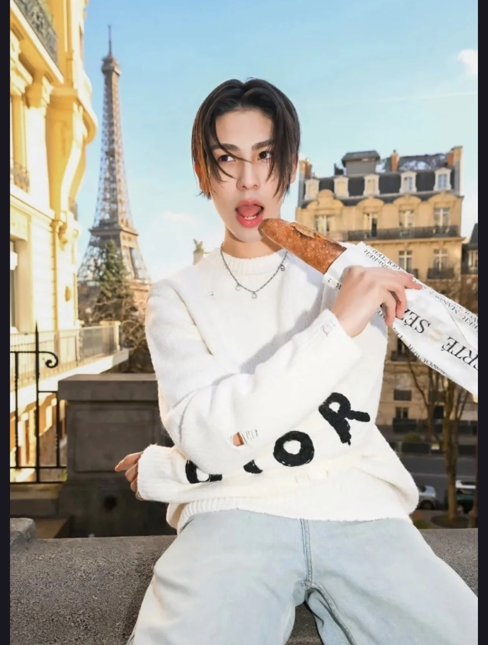 Dior Dinosaur Embroidered Sweater