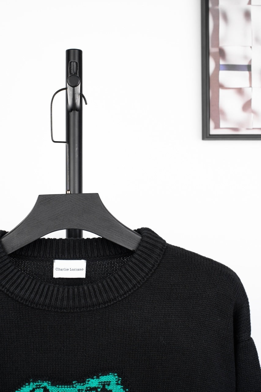 Charlie Luciano Dinosaur Jacquard Crew Neck Sweater
