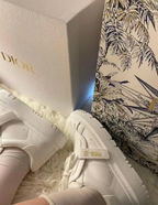 Christian Dior Dior-ID Sneakers