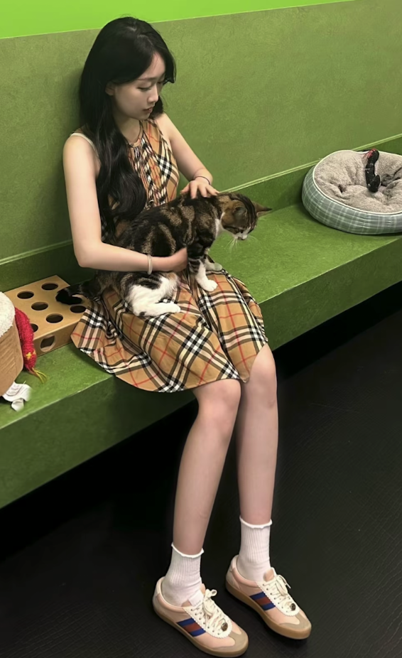 Gucci G74 Web Sneakers