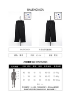 Balenciaga BLCG Logo 3M Reflective Print Straight Pants