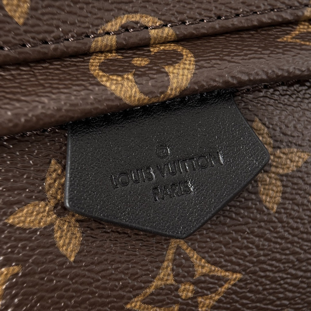 Louis Vuitton Mini Backpack
