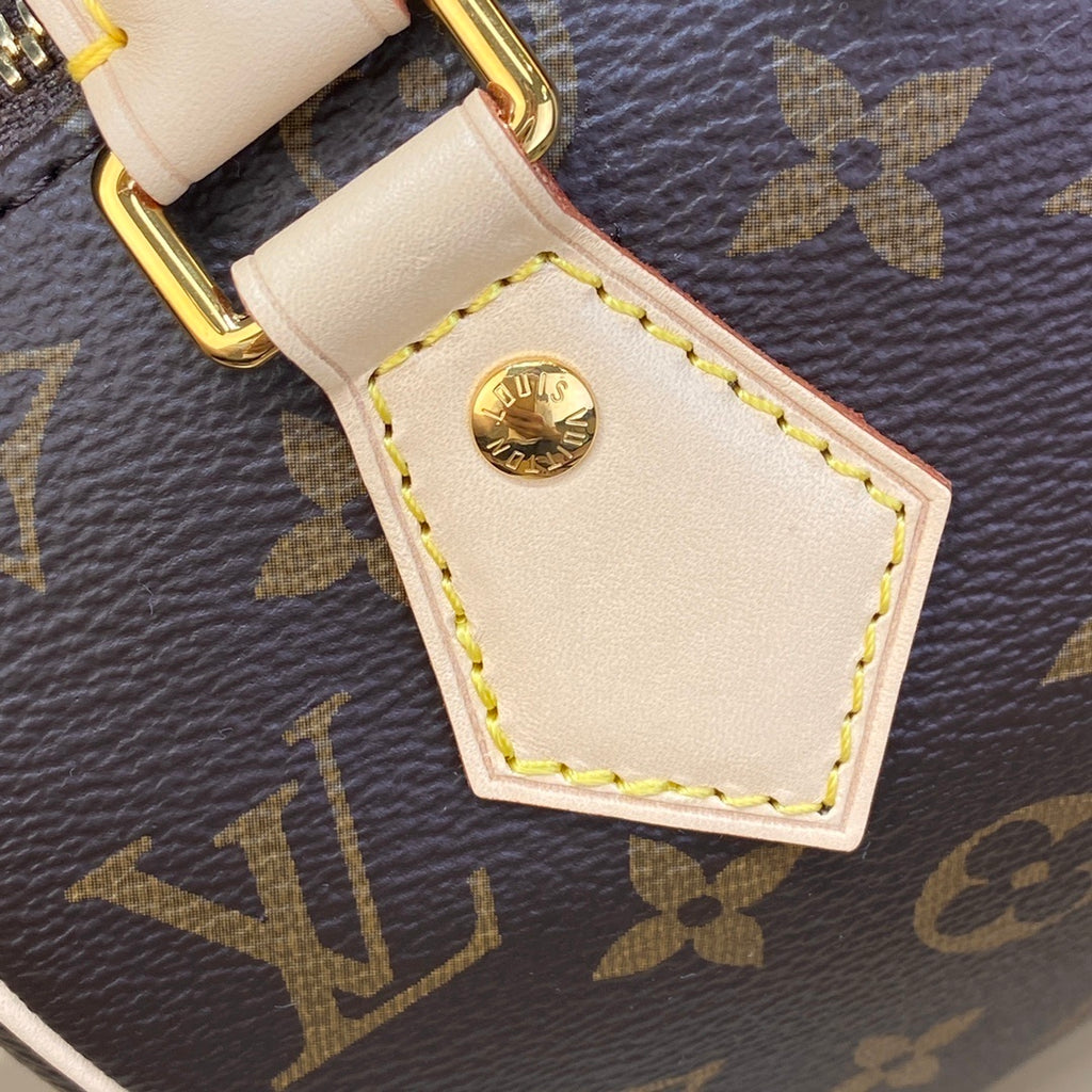 Louis Vuitton Speedy 20 Handbag