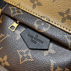 Louis Vuitton Mini Backpack